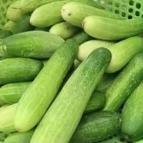 

Timun Baby 1kg Fresh / Timun kecil