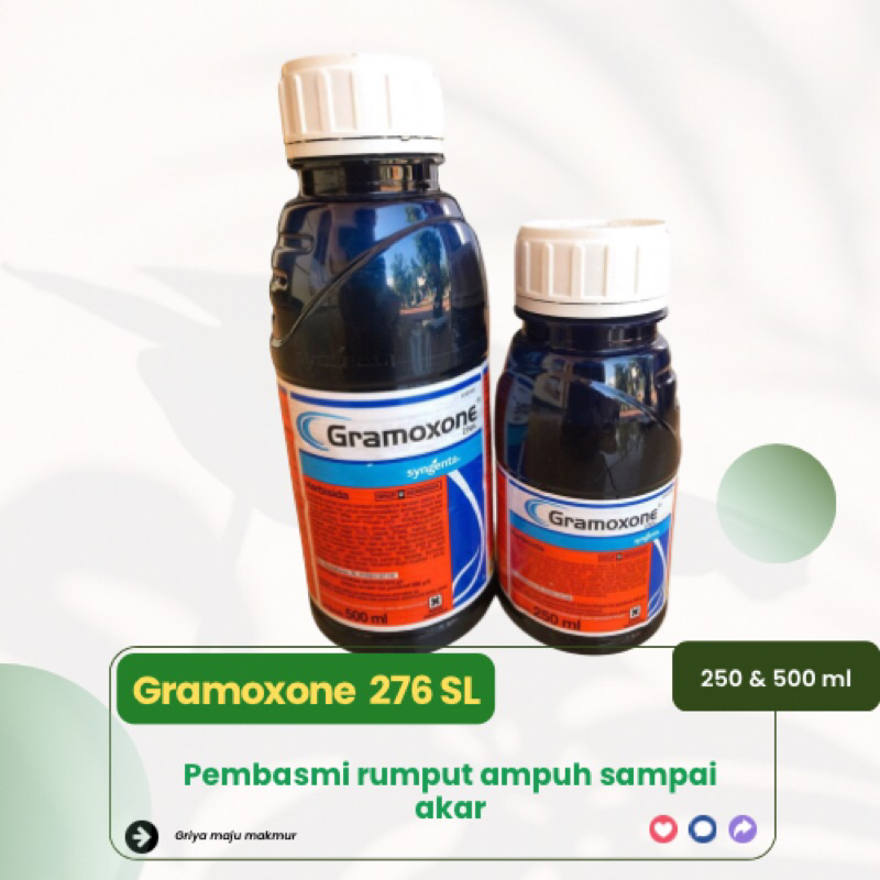 Gramoxone - Racun Rumput Pembasmi Rumput Paling Ampuh Sampai Akar