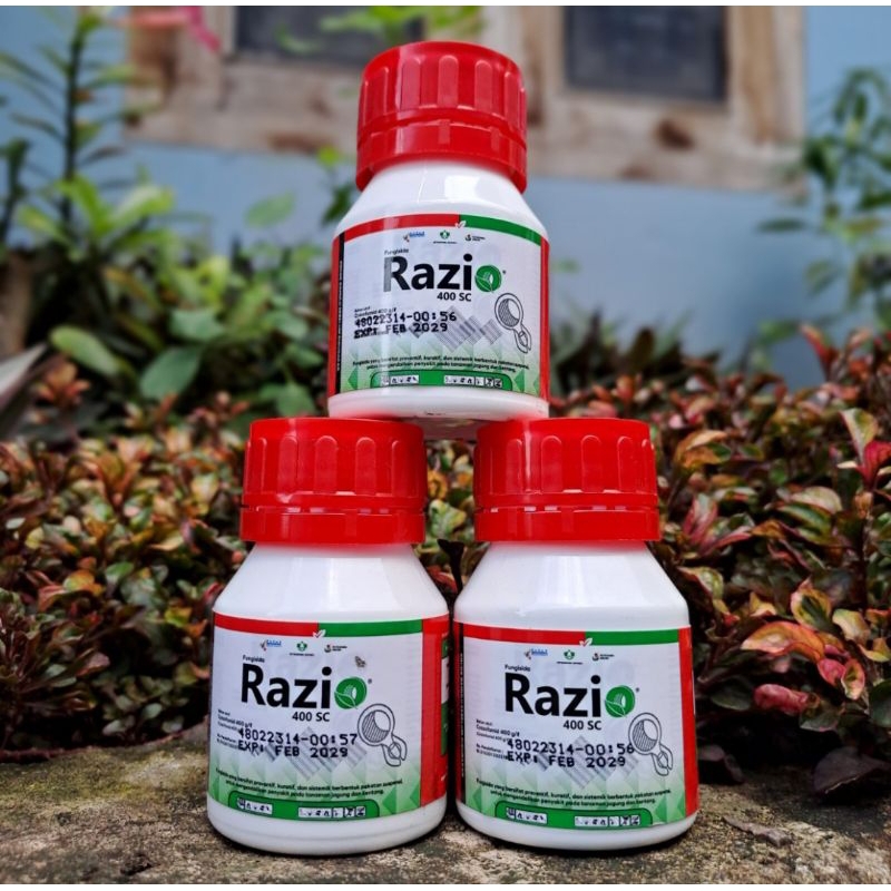 Jual Fungisida RAZIO 400 SC 100 ml Bahan aktif Cyazofamid 400 g/l Fungisida RAZIO 400 SC 100 ml.