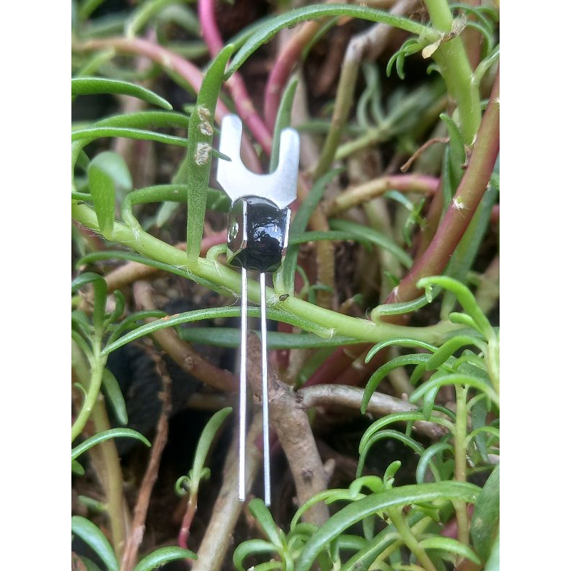 ntc 50r 50 ohm
