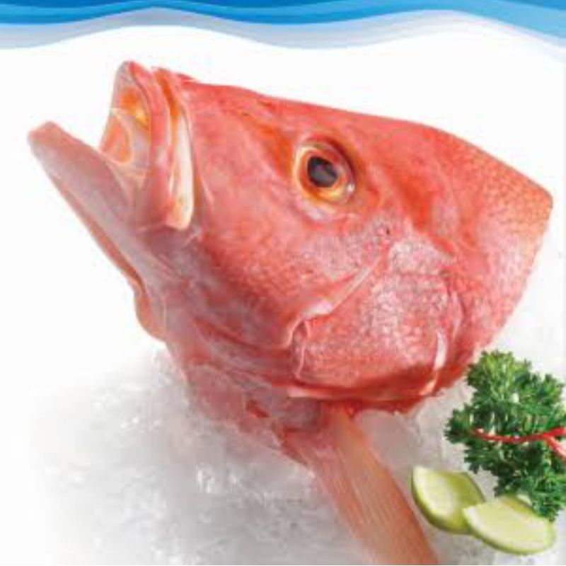 

Kepala Kakap Merah Frozen