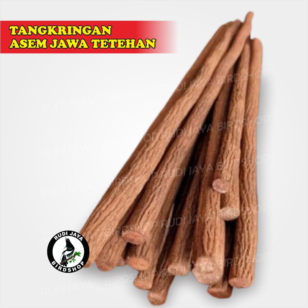 TANGKRINGAN ASEM JAWA TETEHAN SUPER LOMBA BURUNG MURAI KACER KENARI PLECI UNTUK PLANGKRINGAN SANGKAR