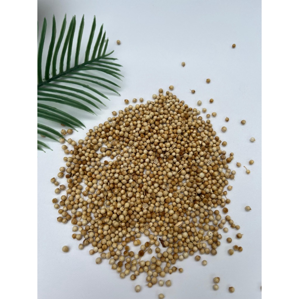 

KETUMBAR PUTIH KEMASAN 100 GRAM - BUMBU MASAK GRADE A
