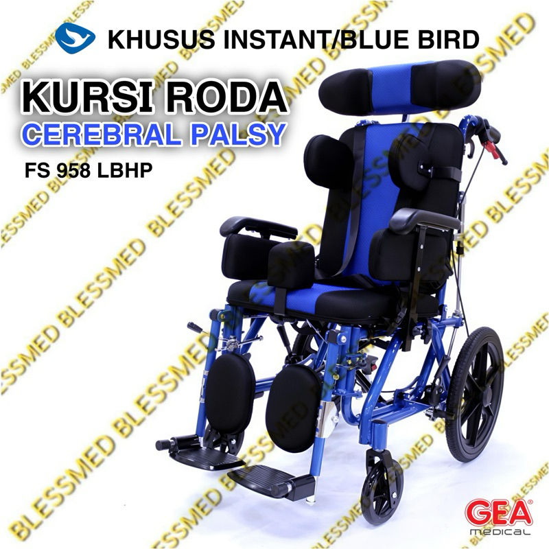 Kursi Roda Cerebral Palsy Anak Berkebutuhan Khusus GEA FS 958 LBHP Khusus BlueBird