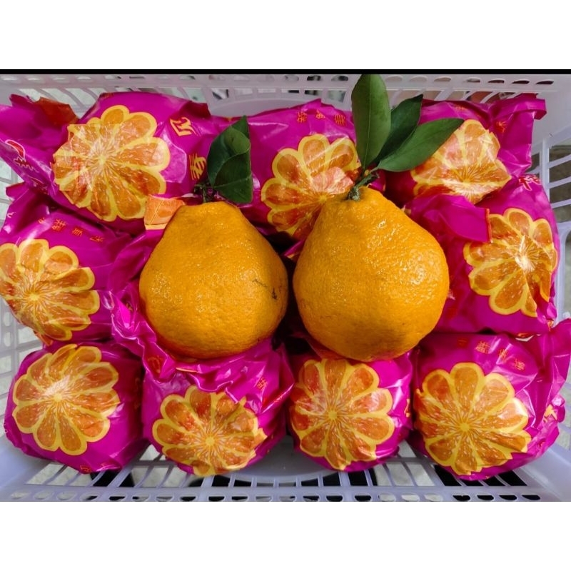 

Jeruk Papagan ungu 5kg