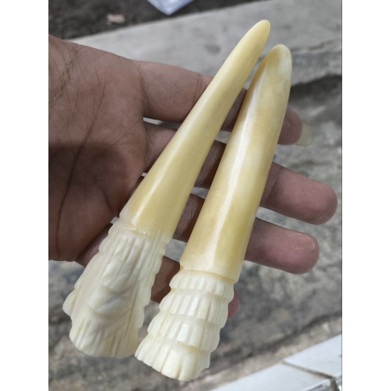 PIPA ONCE TULANG UNTA MODEL TARING