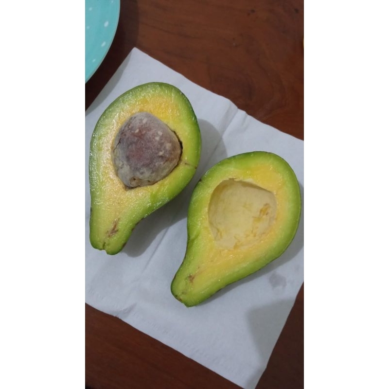 

ALPUKAT MENTEGA/FULL MENTEGA/1KG DOMINAN 4
