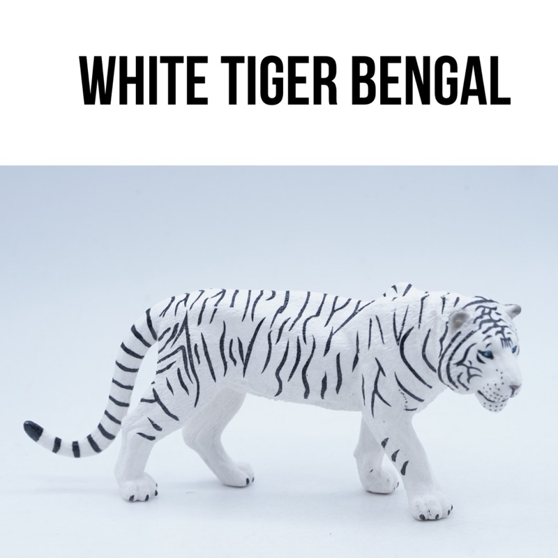 KORI Bengal Tiger White Harimau India Benggala Panthera Tigris Macan Loreng Mainan Figure Binatang M