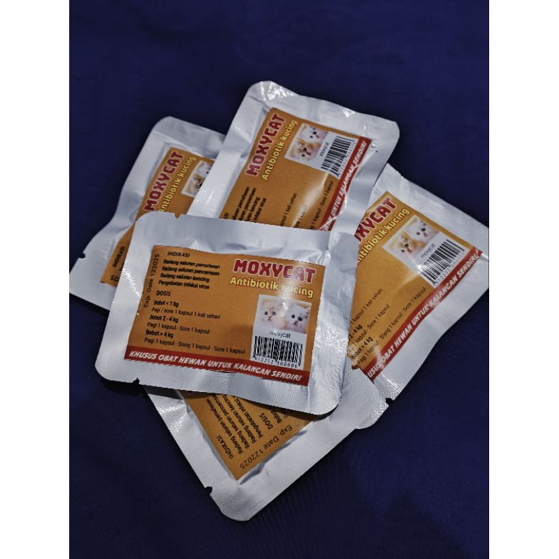 Moxycat ANTIBIOTIK KUCING