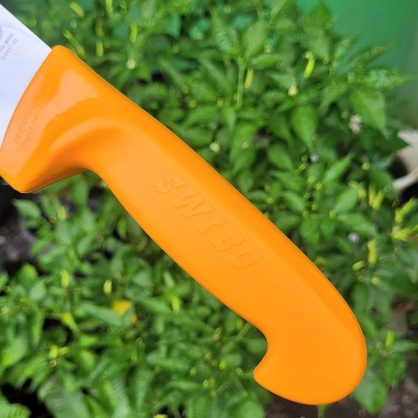 ID PISAU SEMBELIH LURUS 31 CM VICTORINOX SWIBO BUTCHER KNIFE STRAIGHT 5.8431.31 ORANGE HANDLE