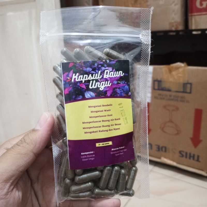 

KAPSUL DAUN UNGU OBAT WASIR DAN SEMBELIT