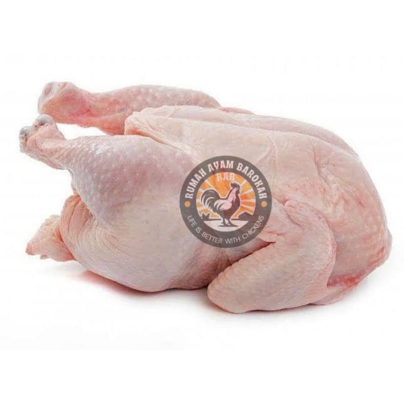 

Ayam Karkas1Kg