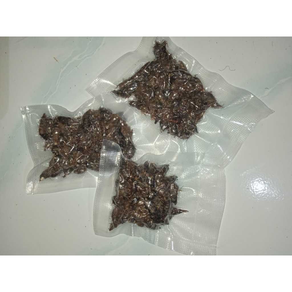 

Umbi Rumput Teki 50gr Berkualitas Premium – Herbal Alami dengan Segudang Manfaat!