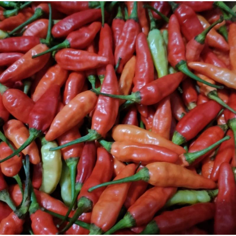 

Cabe Rawit Merah 500gram