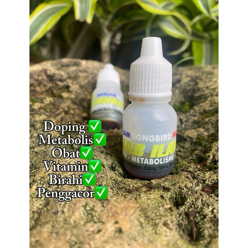 AYAHAB ILAKES…Doping burung ombyokan, doping sogon,metabolis, penggacor, menaikkan birahi untuk sega