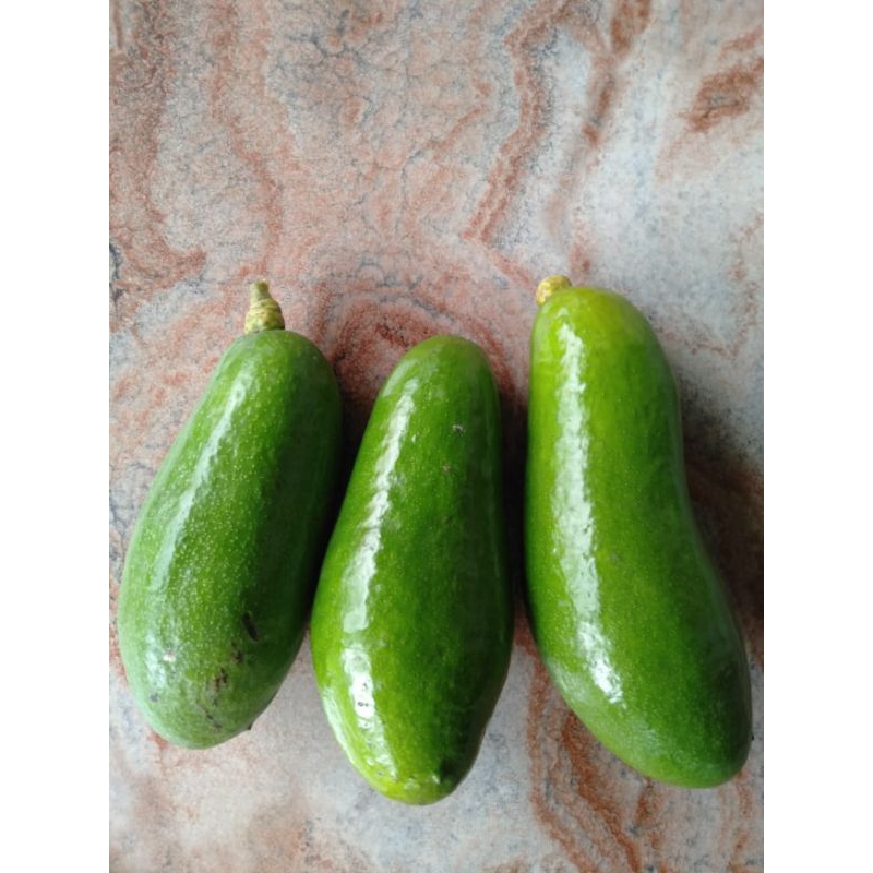 

Buah Alpukat Kelud grade A (1Kg)