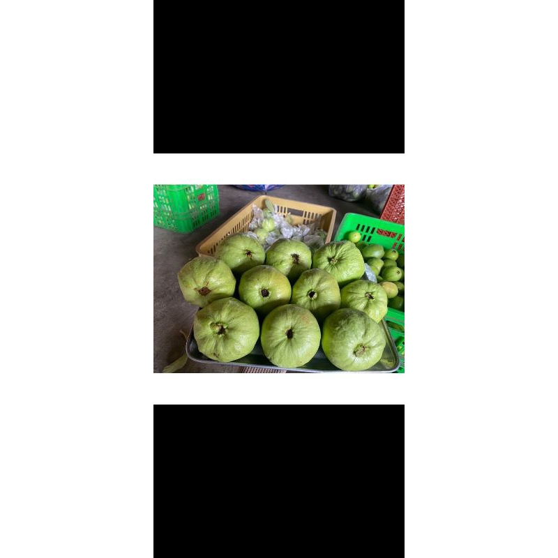 

jambu kristal