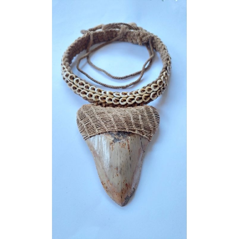 kalung fosill gigi hiu purba / fo sil gigi hiu megalodon