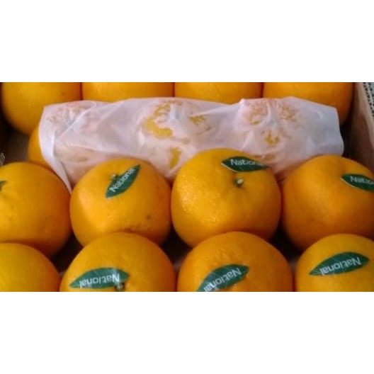 

Kino Pakistan (10 kg)