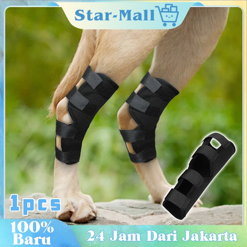 Bungkus Kaki Anjing Perban Kaki Anjing