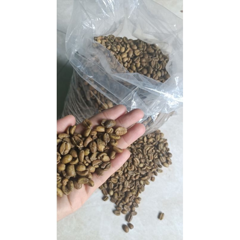 

BIJI KOPI MENTAH LIBERIKA (GREENBEAN/MENTAH) GRADE A KHAS KAB KEP-MERANTI 1KG