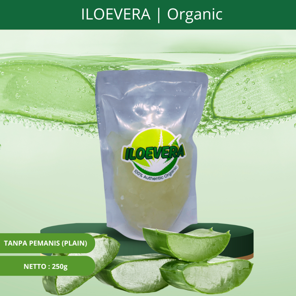

Lidah Buaya Kupas / Nata De Aloe Vera 500g – 100% Organik, Kenyal, Sehat, dan Segar Rasa Original