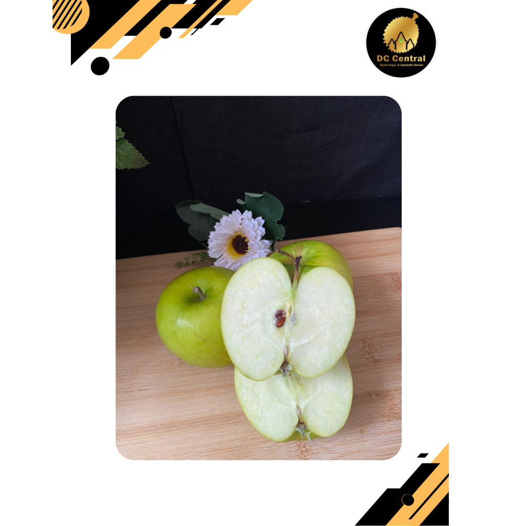 

APEL HIJAU GRANNY SMITH DUTOIT 1 Kg