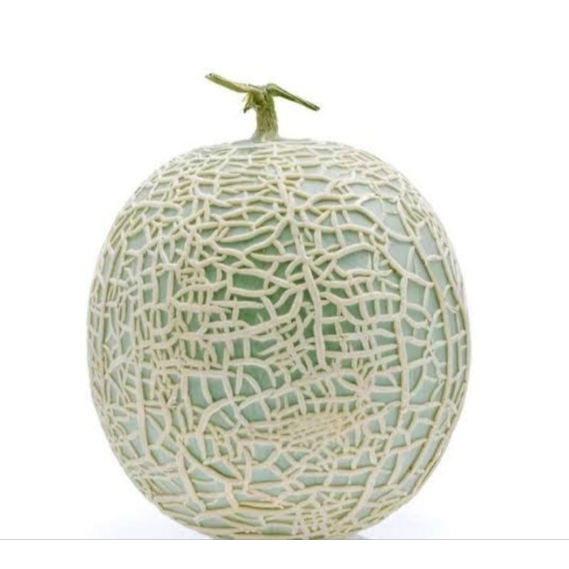 

melonmarakaito