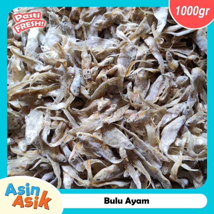 

Ikan Asin Bulu Ayam Tawar Premium Kualitas Top Super Segar Fresh 1kg