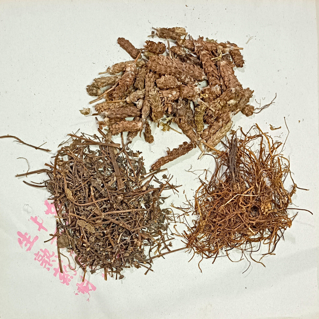 

Ramuan Herbal untuk Hipertensi / Tensi Tinggi / Darah Tinggi