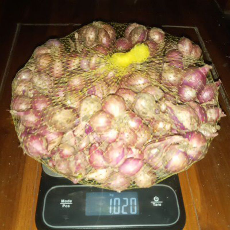 

Bawang merah Asli Probolinggo 1kg wangi