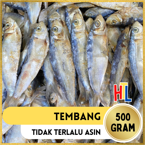 

Ikan Asin Tembang | Tamban Super 500g