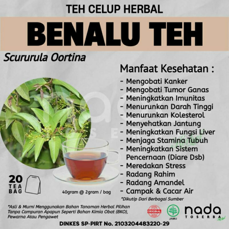 

Teh Celup Herbal BENALU TEH Isi 20 Tea Bag | Tumor Ganas & Kanker | Scururula Oortina