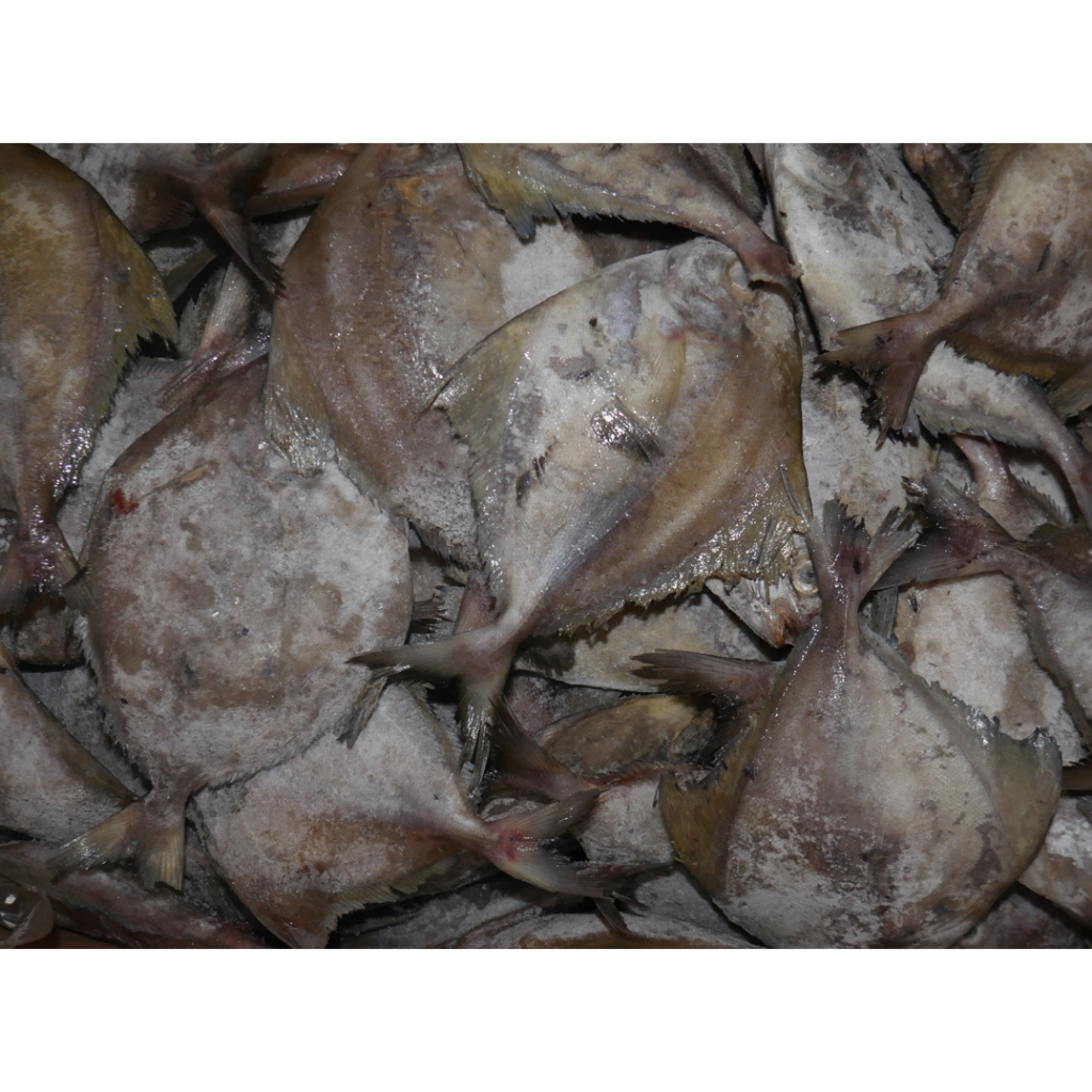 

Ikan Bawal 1Kg