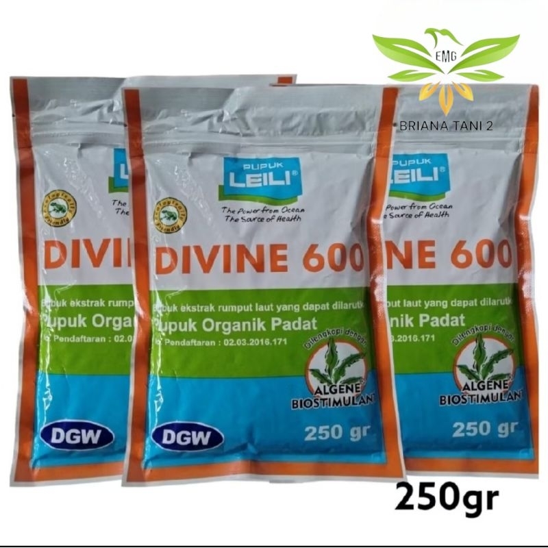 LEILI DIVINE 600 250gr Pupuk C-organik 30,92% Organik Ekstrak Rumput Laut Untuk Semua Jenis Tanaman 