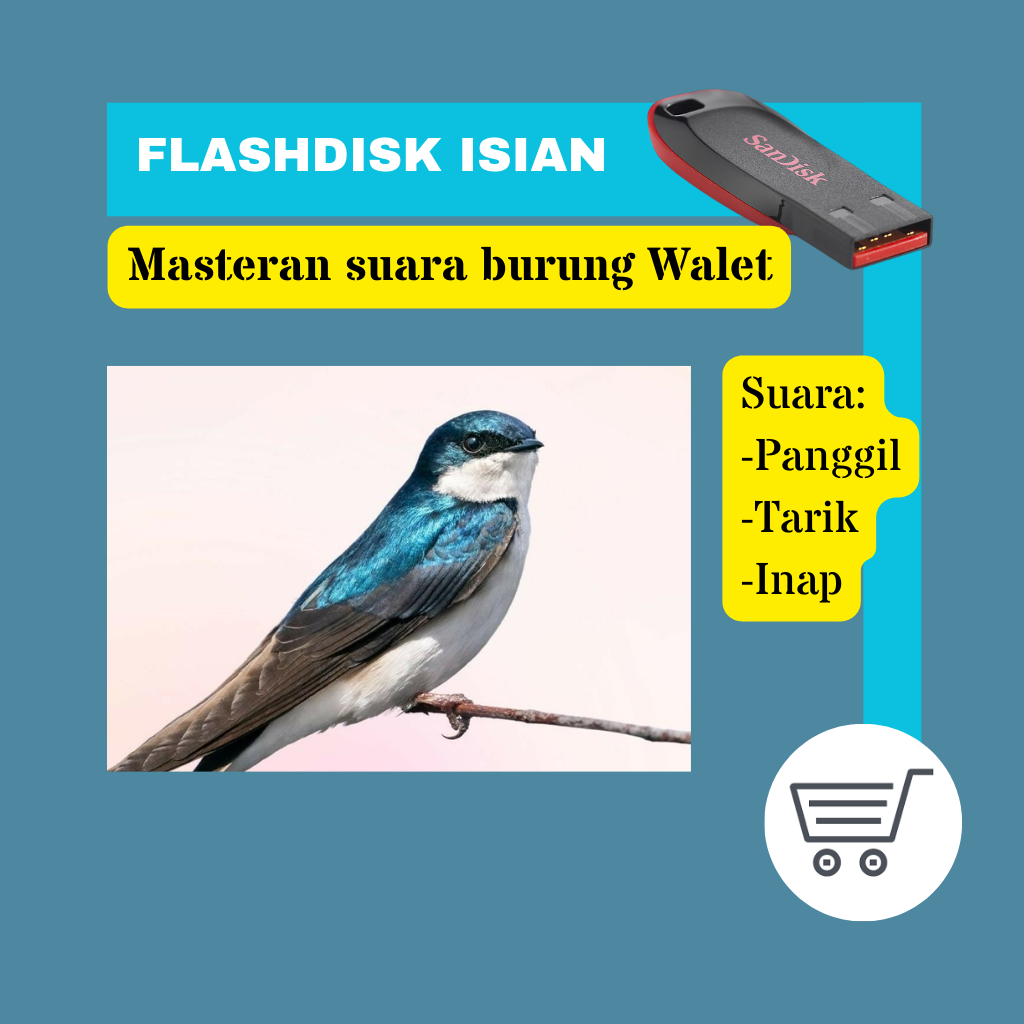 Flashdisk masteran suara burung walet suara panggil tarik inap