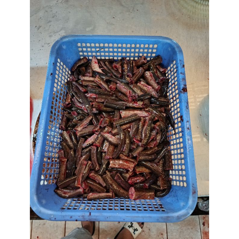 

Belut potong segar 500gr