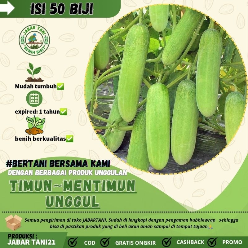 50 biji > BENIH MENTIMUN|BIJI TIMUN UNGGUL
