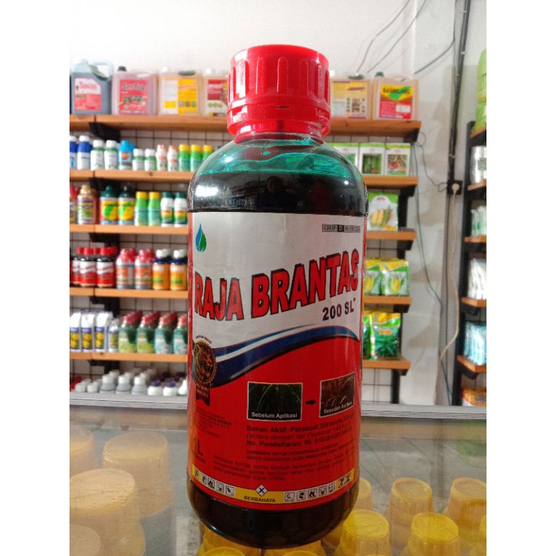 Raja Brantas 200 SL 1L