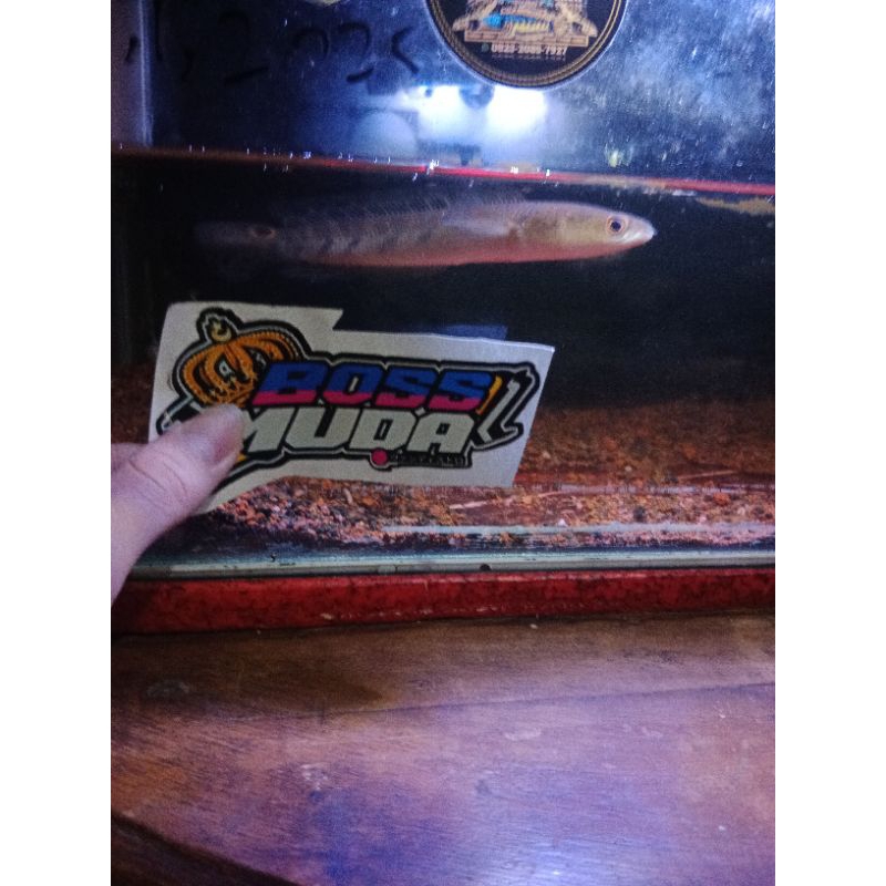 

stiker_isi_maruys_simet6/6(NONCOD)