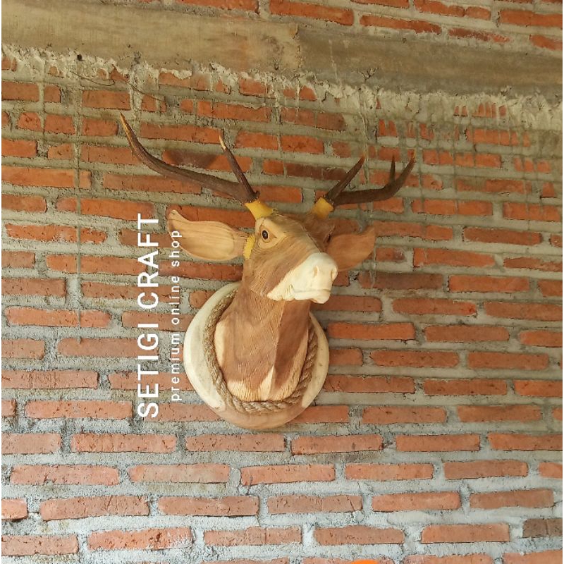 PREMIUM Hiasan Dinding Kepala Rusa Tanduk Asli Size M
