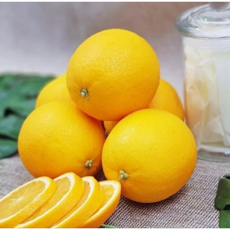 

Jeruk Navel Jumbo RRC 1Kg