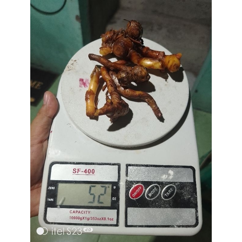 

kunci bumbu dapur ( sudah dicuci)