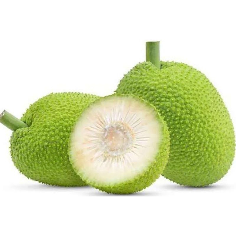 

buah sukun segar per 1kg