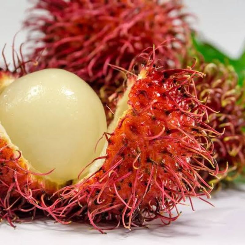 

Buah Rambutan Segar 1 kg - Defa Fresh Market