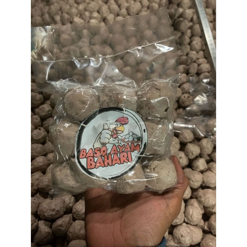 

baso ayam super 10butir