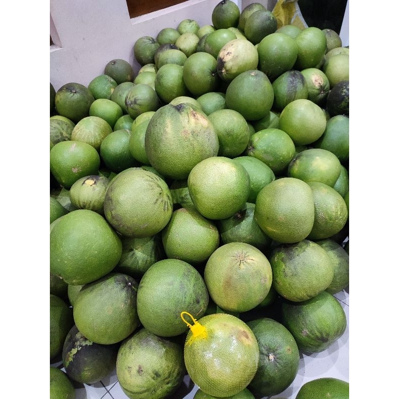 

Jeruk Pamelo Madu berat 40 Kg.