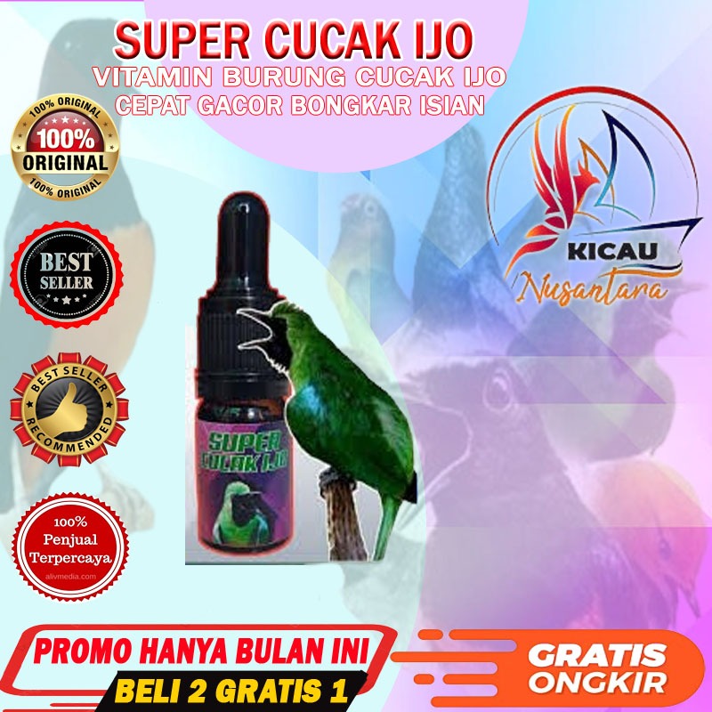 VITAMIN CUCAK IJO PENGGACOR & LOMBA BURUNG SUPER CUCAK IJO TRUCUK PLECI KOLIBRI CUCAK ROWO