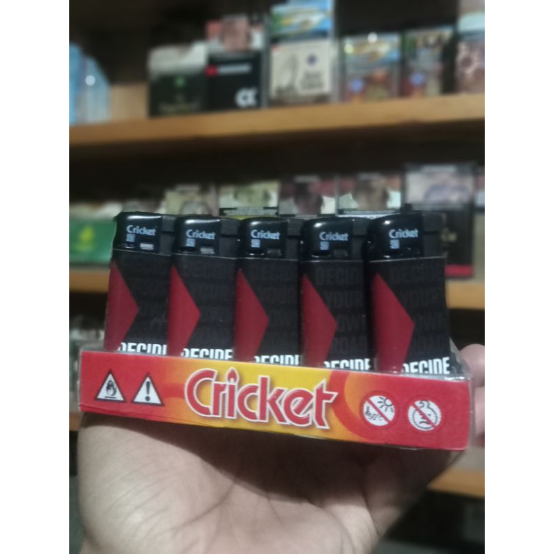 korek cricket magnet mini
