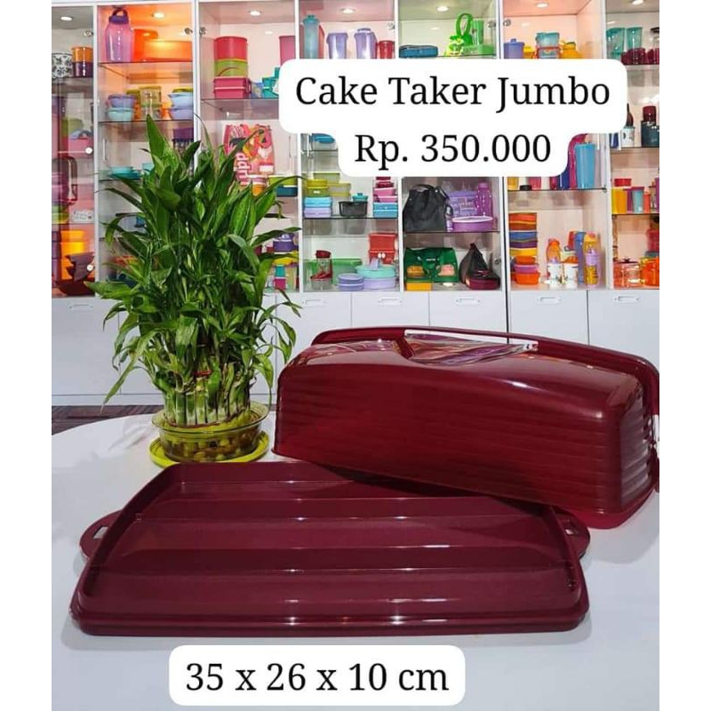 TUPPERWARE CAKE TAKER JUMBO